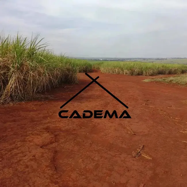 Foto 1 de Sítio / Rancho à venda, 35m2 em Limeira - SP