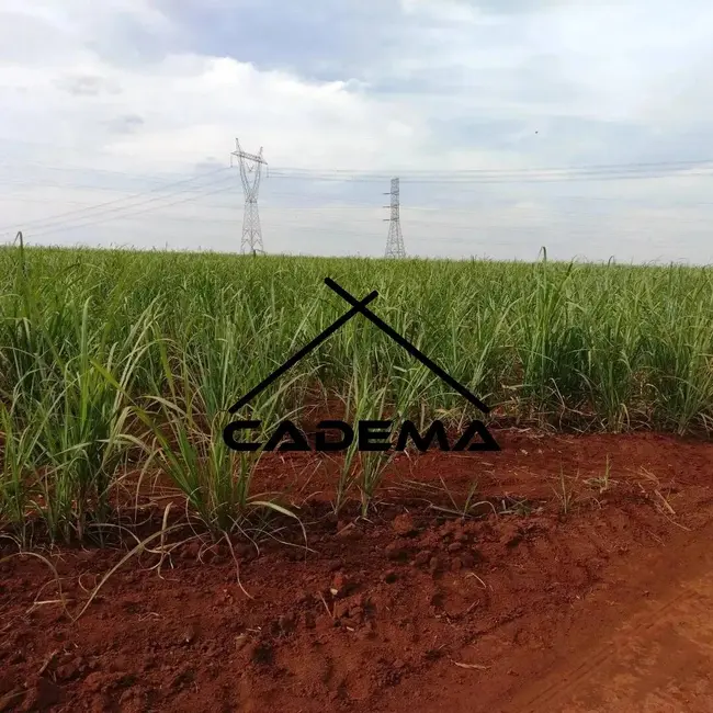 Foto 4 de Sítio / Rancho à venda, 35m2 em Limeira - SP