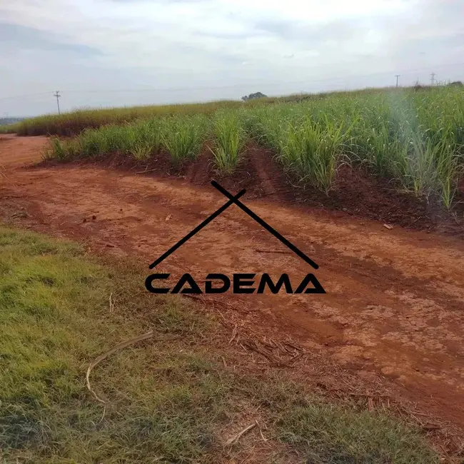 Foto 3 de Sítio / Rancho à venda, 35m2 em Limeira - SP