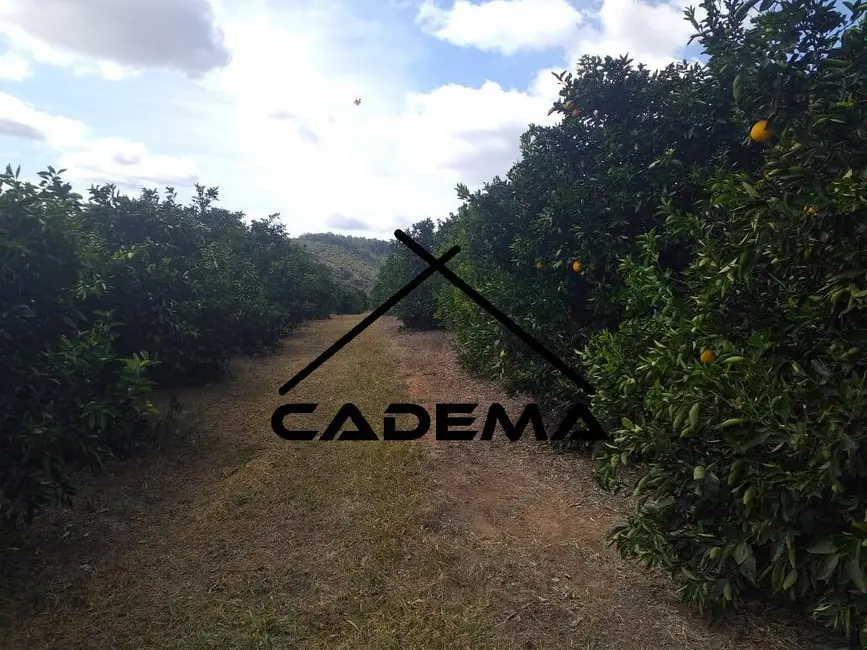 Foto 4 de Sítio / Rancho com 4 quartos à venda, 92m2 em Sao Goncalo Do Sapucai - MG