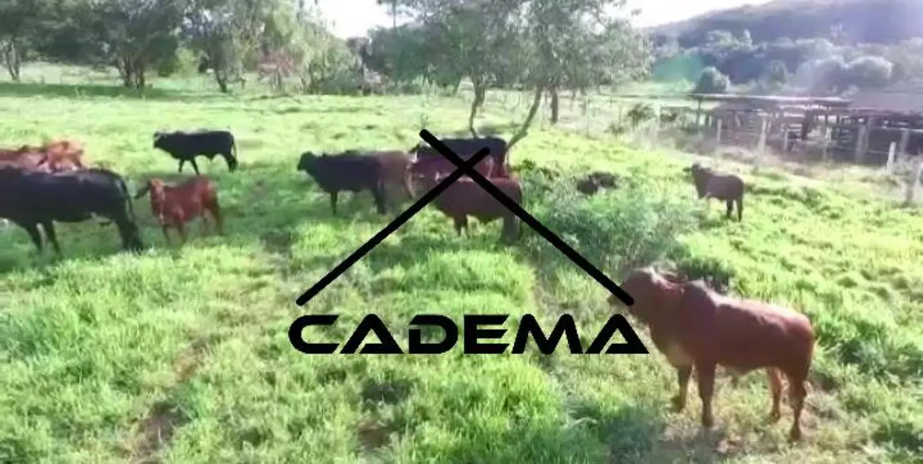 Sítio / Rancho com 3 quartos à venda, 20m2 em Araraquara - SP - imagem 4 Foto 4 de Sítio / Rancho com 3 quartos à venda, 20m2 em Araraquara - SP