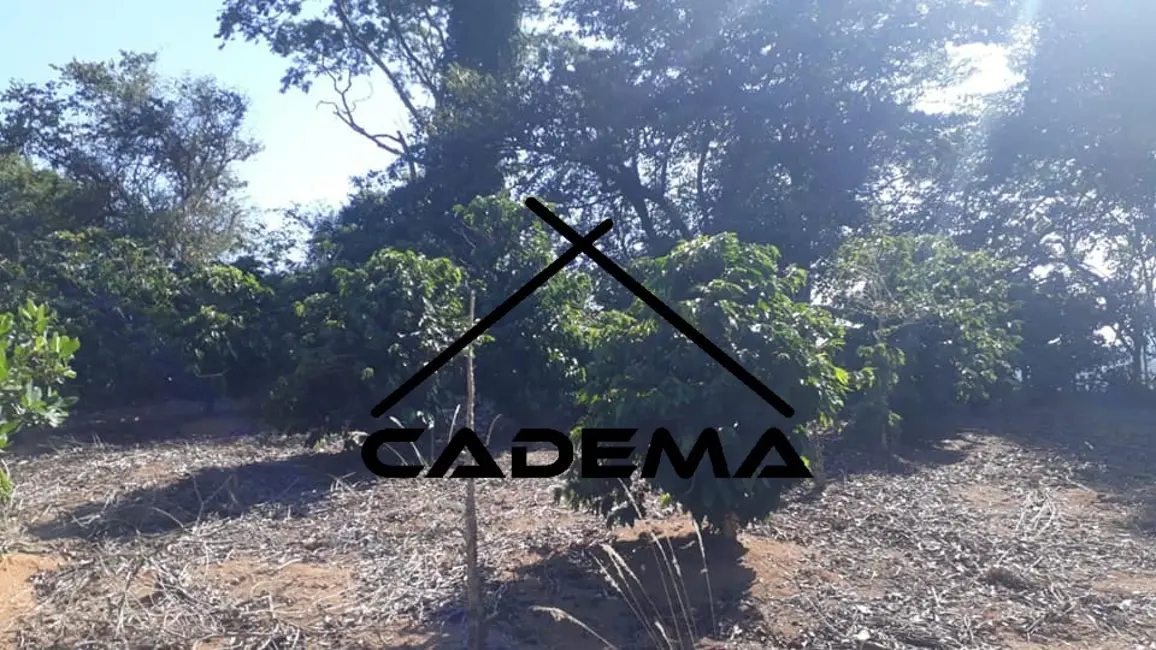 Chácara com 4 quartos à venda, 16000m2 em Monte Siao - MG - imagem 7 Foto 7 de Chácara com 4 quartos à venda, 16000m2 em Monte Siao - MG