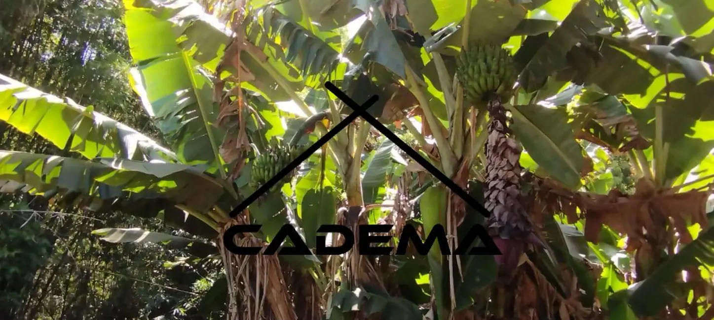 Chácara com 1 quarto à venda, 2100m2 em Borda Da Mata - MG - imagem 5 Foto 5 de Chácara com 1 quarto à venda, 2100m2 em Borda Da Mata - MG