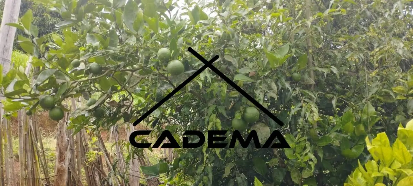 Chácara com 1 quarto à venda, 2100m2 em Borda Da Mata - MG - imagem 9 Foto 9 de Chácara com 1 quarto à venda, 2100m2 em Borda Da Mata - MG