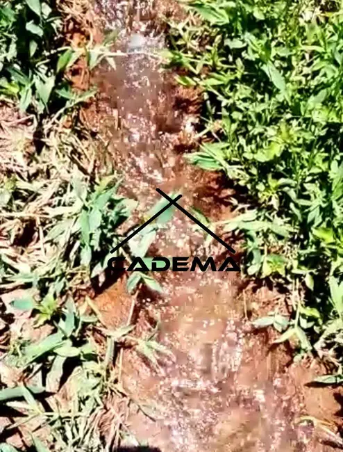 Chácara com 1 quarto à venda, 2100m2 em Borda Da Mata - MG - imagem 7 Foto 7 de Chácara com 1 quarto à venda, 2100m2 em Borda Da Mata - MG