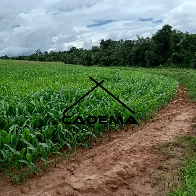 Sítio / Rancho à venda, 17m2 em Engenheiro Coelho - SP - imagem 7 Foto 7 de Sítio / Rancho à venda, 17m2 em Engenheiro Coelho - SP