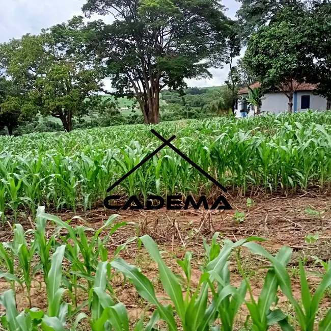 Sítio / Rancho à venda, 17m2 em Engenheiro Coelho - SP - imagem 6 Foto 6 de Sítio / Rancho à venda, 17m2 em Engenheiro Coelho - SP