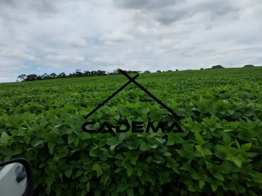 Foto 4 de Fazenda / Haras à venda, 57m2 em Mogi Mirim - SP