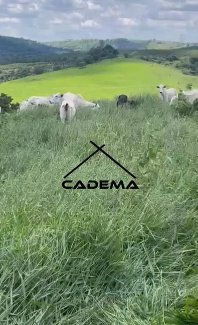 Foto 8 de Fazenda / Haras com 2 quartos à venda, 174m2 em Jacutinga - MG