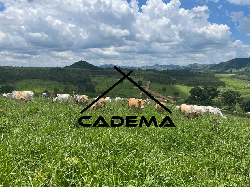 Foto 5 de Fazenda / Haras com 2 quartos à venda, 174m2 em Jacutinga - MG