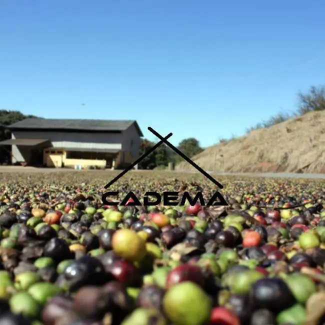 Foto 6 de Sítio / Rancho com 6 quartos à venda, 101m2 em Campanha - MG