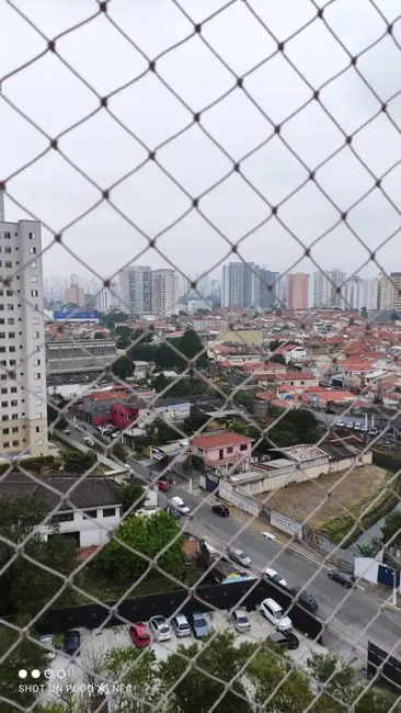 Foto 4 de Apartamento com 2 quartos à venda, 55m2 em Vila Moreira, São Paulo - SP