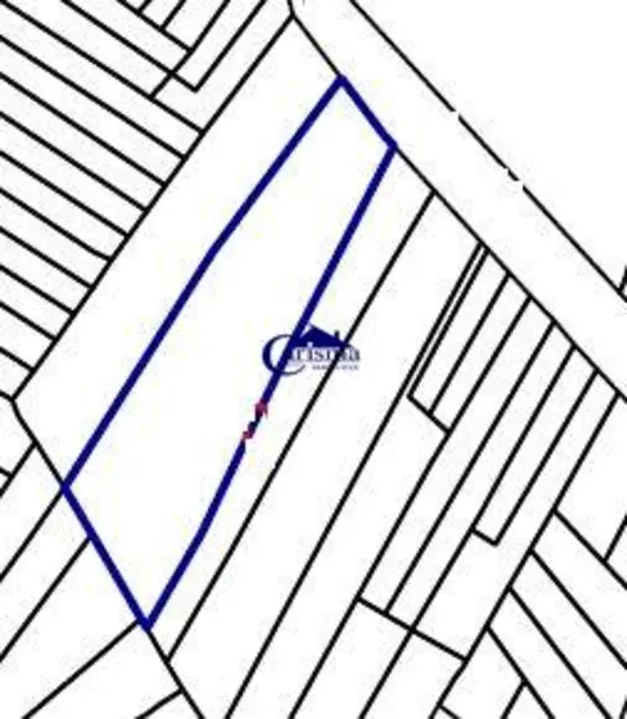 Foto 4 de Terreno / Lote à venda, 1511m2 em Vila Alto de Santo André, Santo Andre - SP