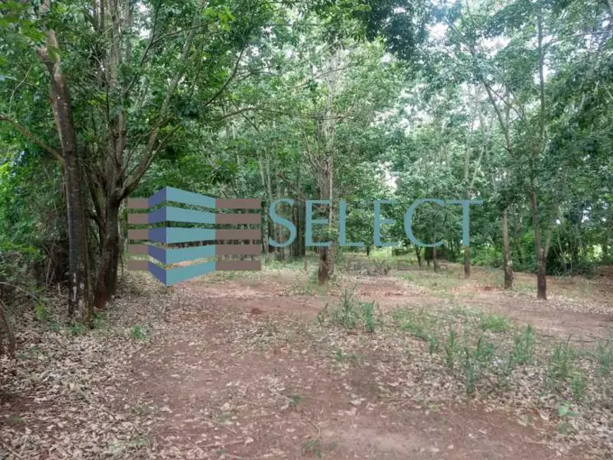 Foto 2 de Chácara à venda em Mirassolandia - SP