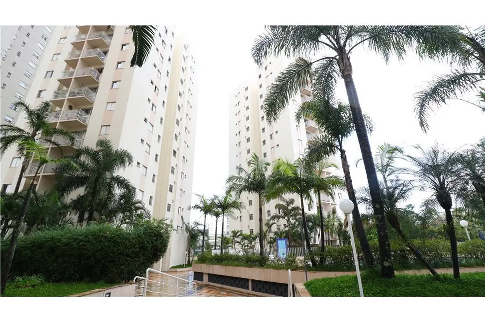 Apartamento com 2 quartos à venda, 47m2 em Jardim Aeroporto, São Paulo - SP - imagem 2 Foto 2 de Apartamento com 2 quartos à venda, 47m2 em Jardim Aeroporto, São Paulo - SP