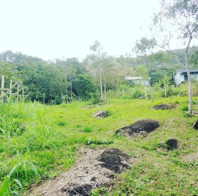 Foto 8 de Terreno / Lote à venda, 2000m2 em Garopaba - SC