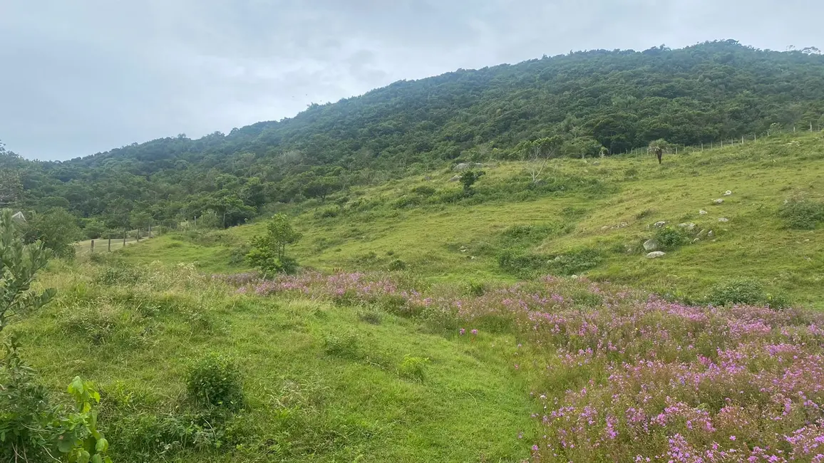 Foto 7 de Terreno / Lote à venda, 1550m2 em Garopaba - SC