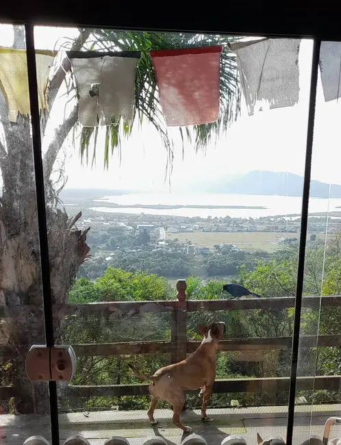 Foto 5 de Casa com 3 quartos à venda, 450m2 em Garopaba - SC