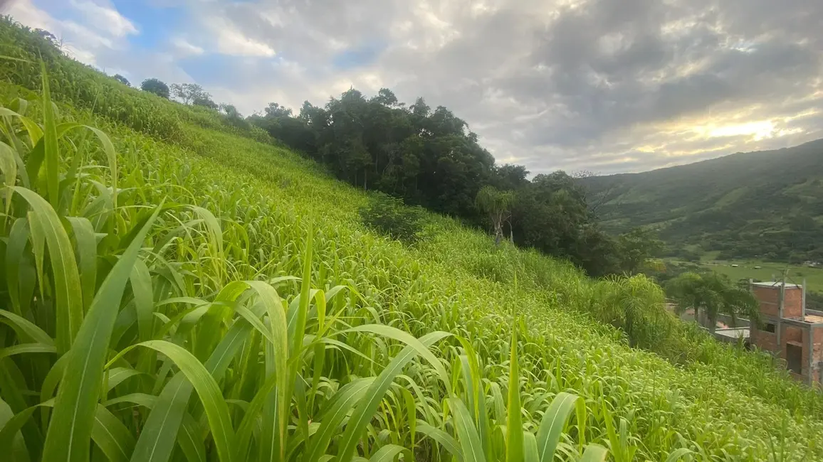 Foto 5 de Terreno / Lote à venda, 1000m2 em Garopaba - SC