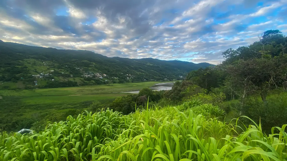 Foto 1 de Terreno / Lote à venda, 1000m2 em Garopaba - SC