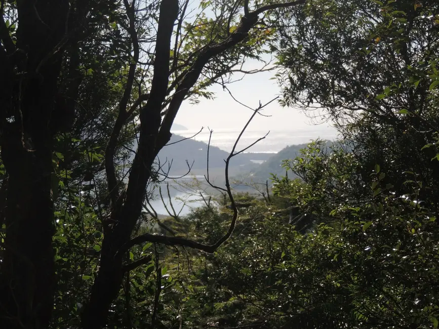 Foto 4 de Terreno / Lote à venda, 20000m2 em Garopaba - SC