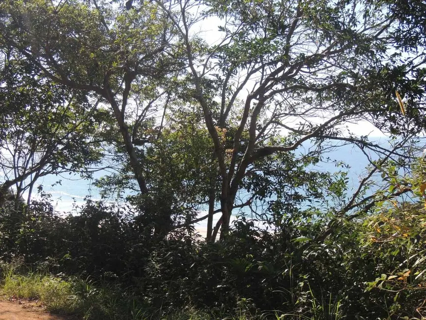Foto 4 de Terreno / Lote à venda, 974m2 em Garopaba - SC