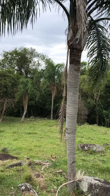 Foto 2 de Terreno / Lote à venda, 10000m2 em Garopaba - SC