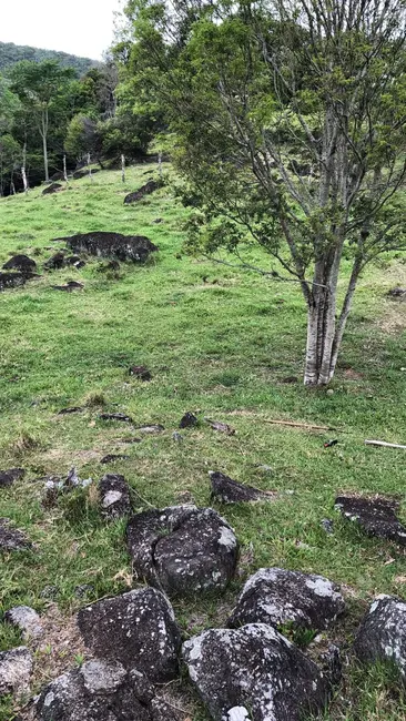 Foto 3 de Terreno / Lote à venda, 10000m2 em Garopaba - SC