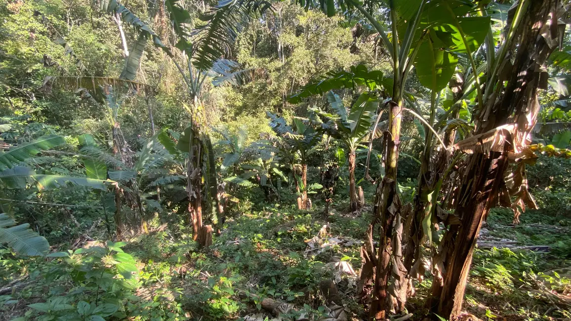 Foto 6 de Terreno / Lote à venda, 172990m2 em Garopaba - SC