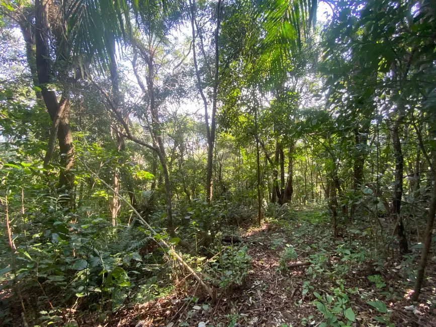 Foto 3 de Terreno / Lote à venda, 172990m2 em Garopaba - SC