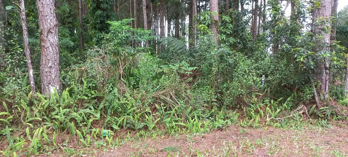 Foto 2 de Terreno / Lote à venda, 265m2 em Garopaba - SC