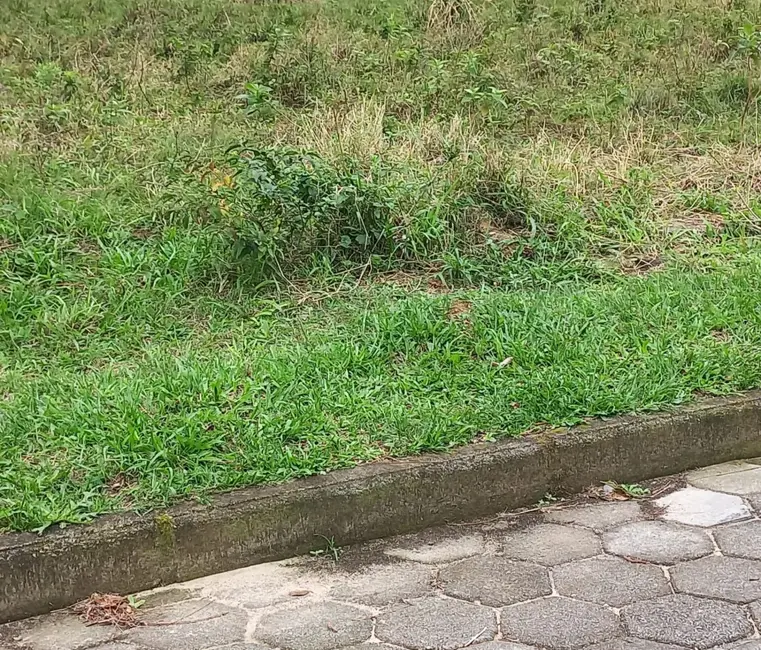 Foto 4 de Terreno / Lote à venda, 265m2 em Garopaba - SC
