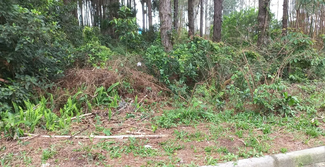 Foto 3 de Terreno / Lote à venda, 265m2 em Garopaba - SC