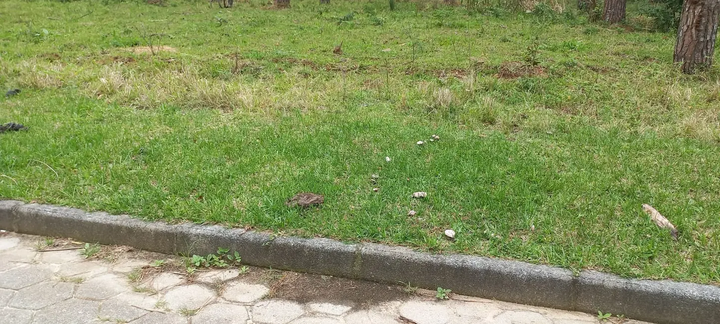 Foto 5 de Terreno / Lote à venda, 265m2 em Garopaba - SC