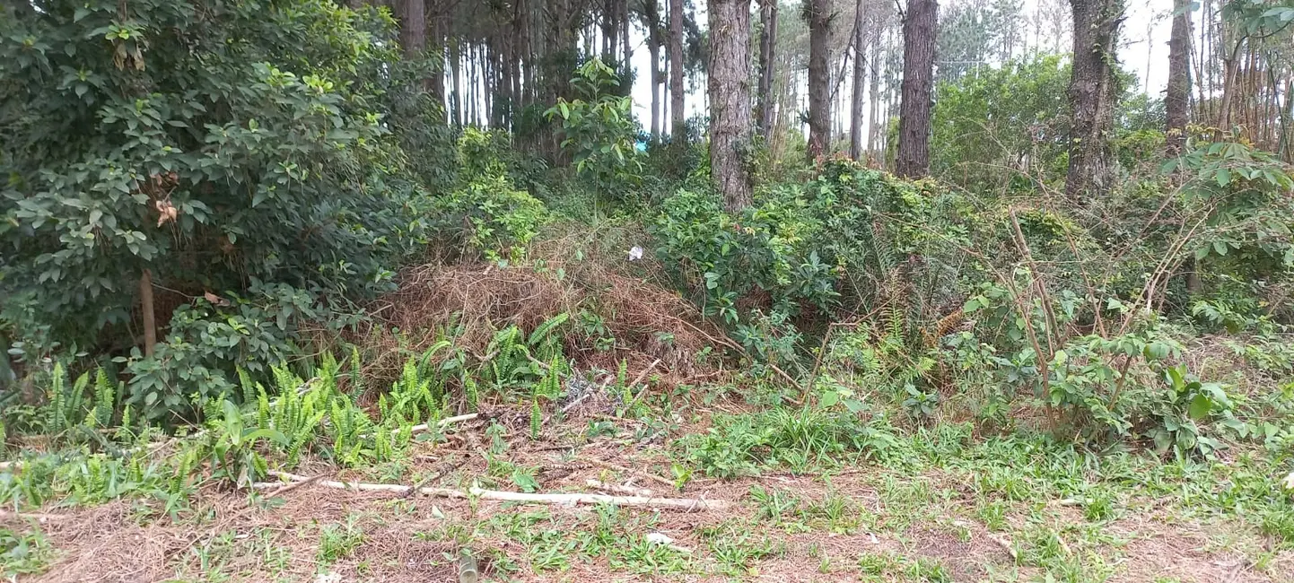 Foto 1 de Terreno / Lote à venda, 265m2 em Garopaba - SC