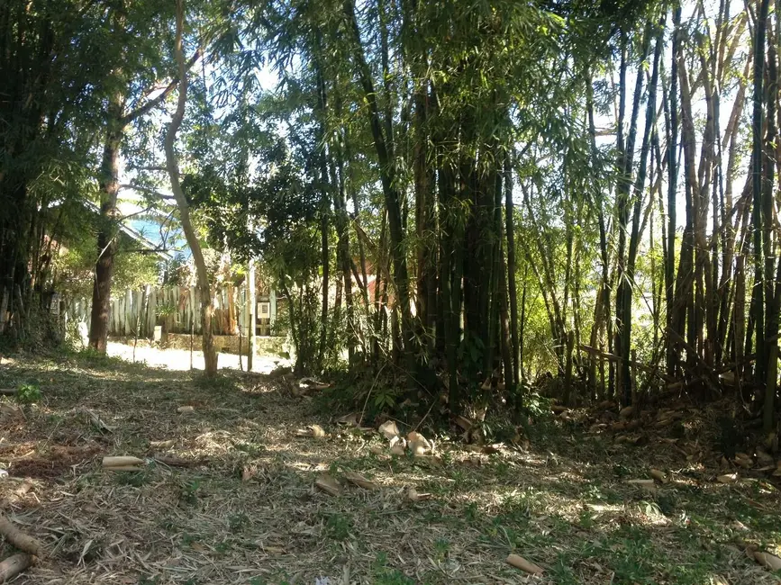Foto 5 de Terreno / Lote à venda, 3013m2 em Garopaba - SC