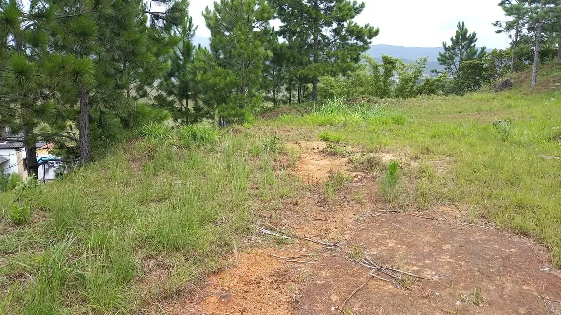 Foto 3 de Terreno / Lote à venda, 2640m2 em Garopaba - SC