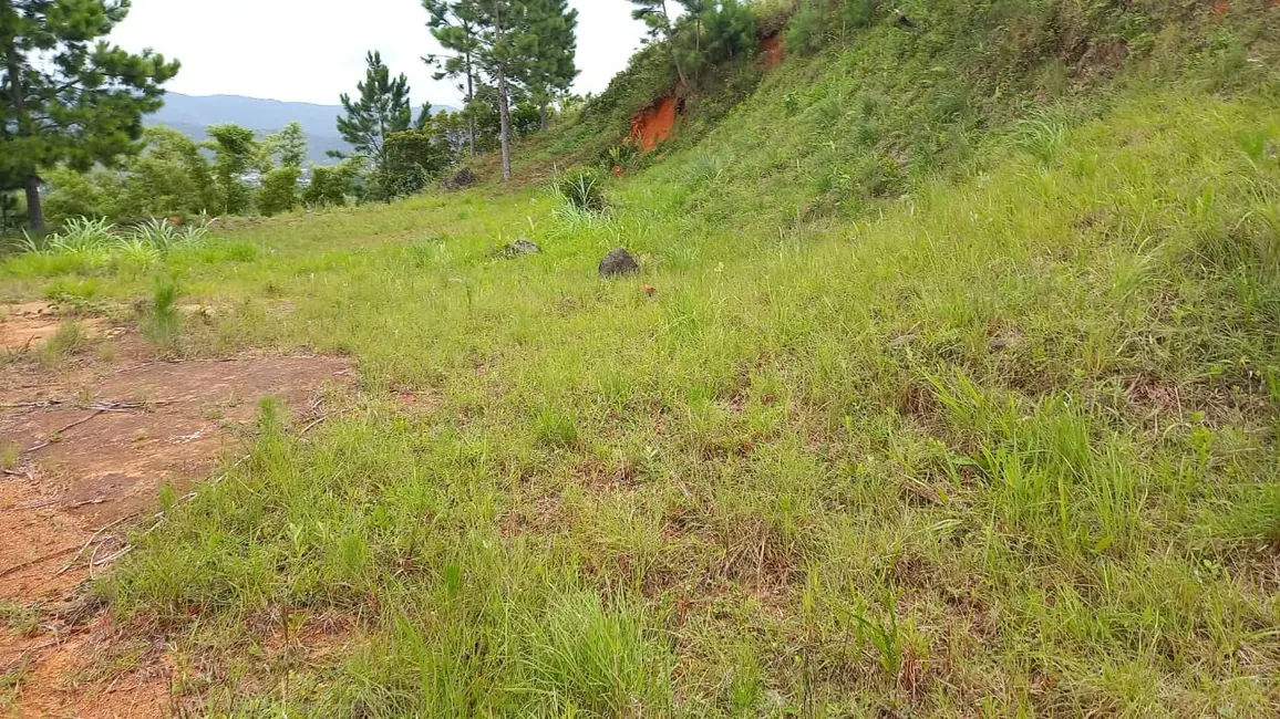 Foto 4 de Terreno / Lote à venda, 2640m2 em Garopaba - SC