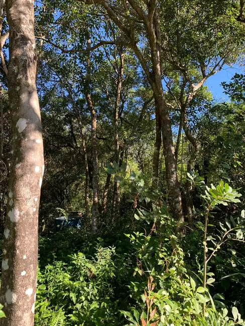 Foto 4 de Terreno / Lote à venda, 600m2 em Garopaba - SC