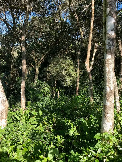 Foto 5 de Terreno / Lote à venda, 600m2 em Garopaba - SC