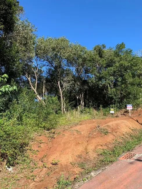 Foto 3 de Terreno / Lote à venda, 600m2 em Garopaba - SC