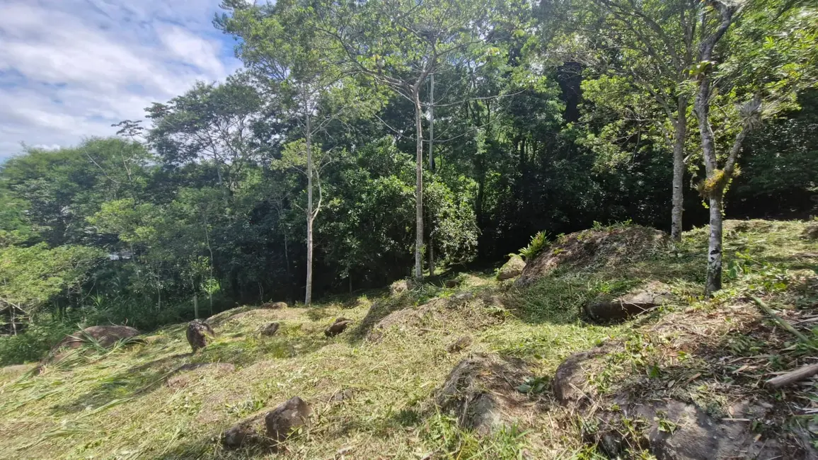 Foto 6 de Terreno / Lote à venda, 3367m2 em Garopaba - SC