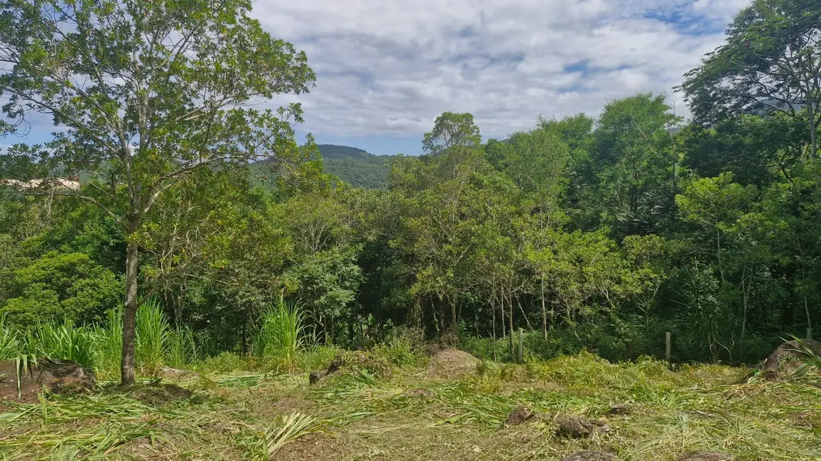 Foto 3 de Terreno / Lote à venda, 3367m2 em Garopaba - SC