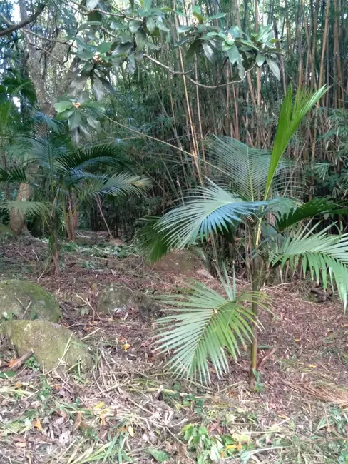 Foto 5 de Terreno / Lote à venda, 1728m2 em Garopaba - SC