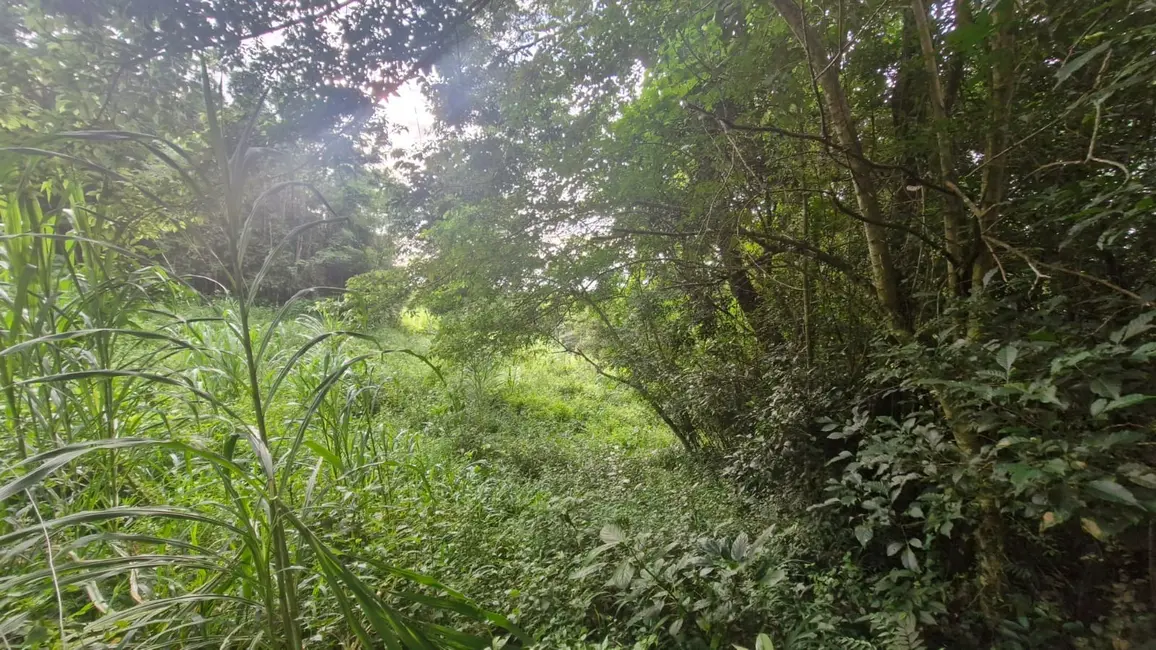 Foto 9 de Terreno / Lote à venda, 1728m2 em Garopaba - SC