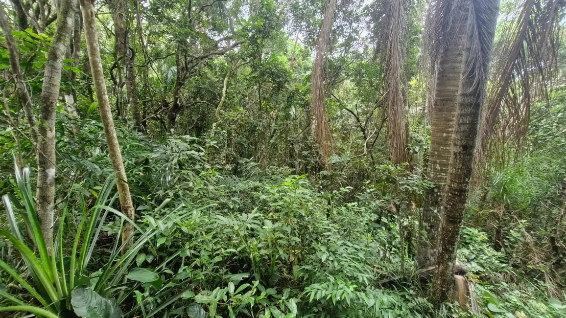 Foto 9 de Terreno / Lote à venda, 3717m2 em Garopaba - SC
