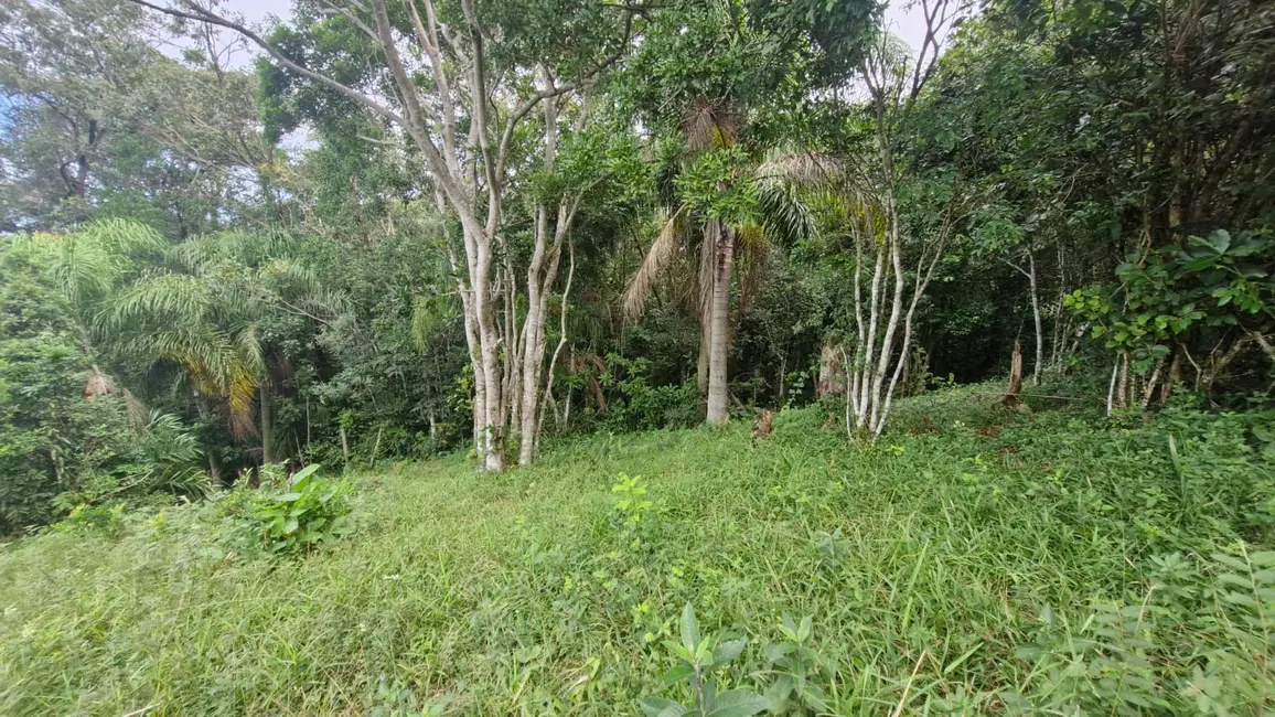 Foto 8 de Terreno / Lote à venda, 3717m2 em Garopaba - SC