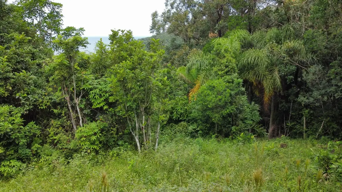 Foto 6 de Terreno / Lote à venda, 3717m2 em Garopaba - SC