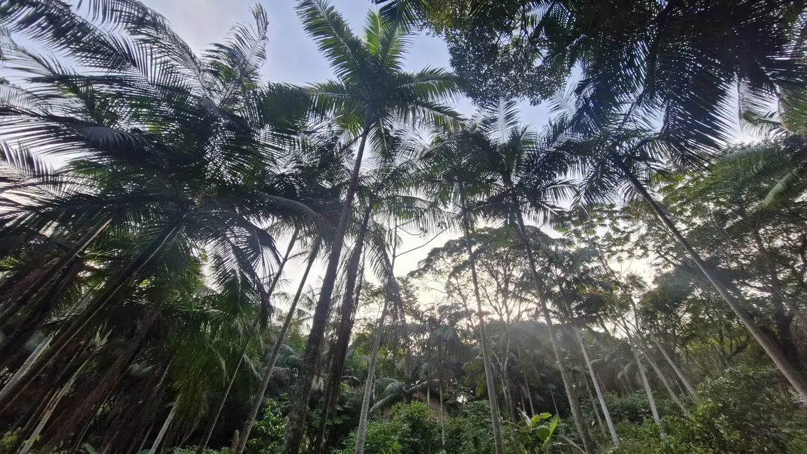 Foto 1 de Terreno / Lote à venda, 630m2 em Garopaba - SC