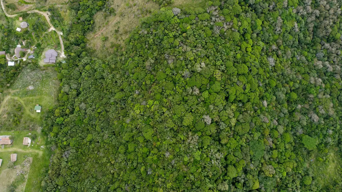 Foto 8 de Terreno / Lote à venda, 20118m2 em Garopaba - SC